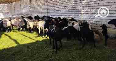 6 20220720050615615. jpg