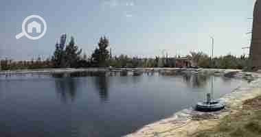 7 820152522105013. jpg