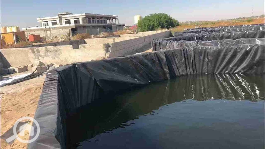 8 maxresdefault(3). jpg