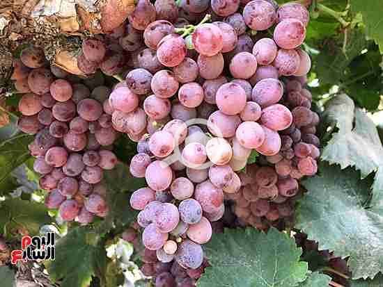 10 91666-----(0). jpg