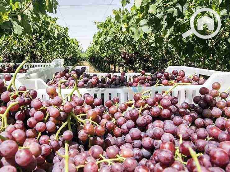 11 2020_6_24_21_49_35_655. jpg