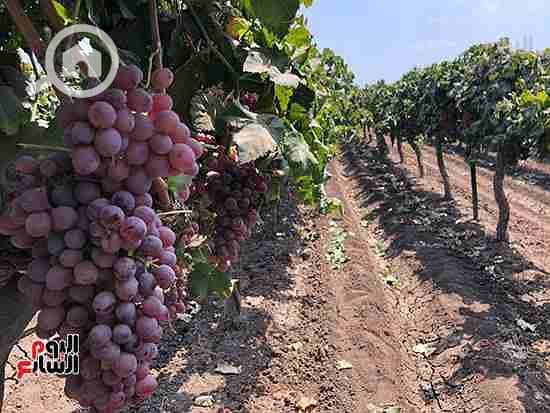 17 100248------. jpg