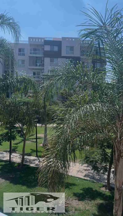 3 Bedroom Apartment for Sale in Madinaty, Cairo - 1000823127. jpg