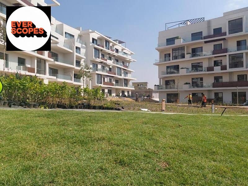 4 428497314_1593392918097291_7312978254741345508_n. jpg