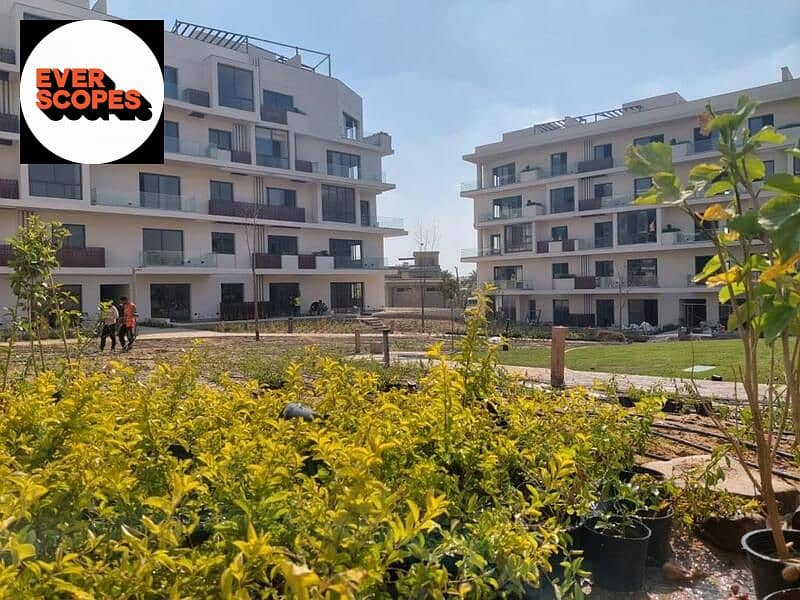 11 428601173_1593392934763956_7707388883141821161_n. jpg