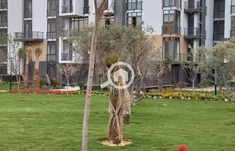 2 655cc1ffdd2ab809211714. jpg