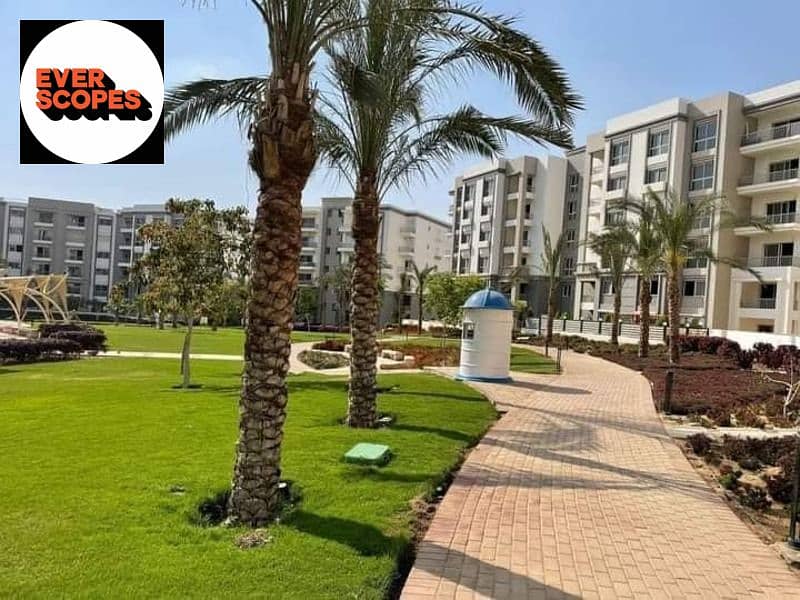 5 380420900_6590717014354728_5411347297504146571_n. jpg