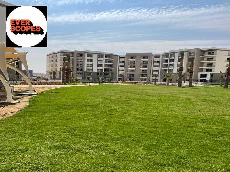 4 380785934_10159058850910518_910775539596267728_n. jpg