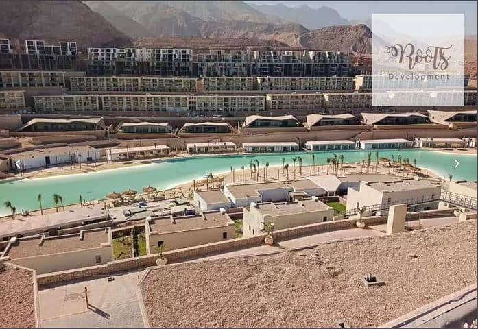 4 WhatsApp Image 2025-12-24 at 11.20. 51 AM. jpeg