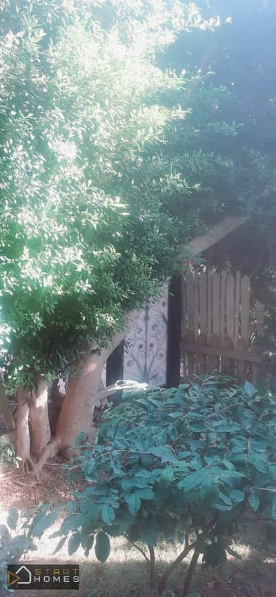 فلیٹ 2 غرفة نوم للبيع في القاهرة الجديدة، القاهرة - WhatsApp Image 2025-12-24 at 11.28. 38 AM. jpeg