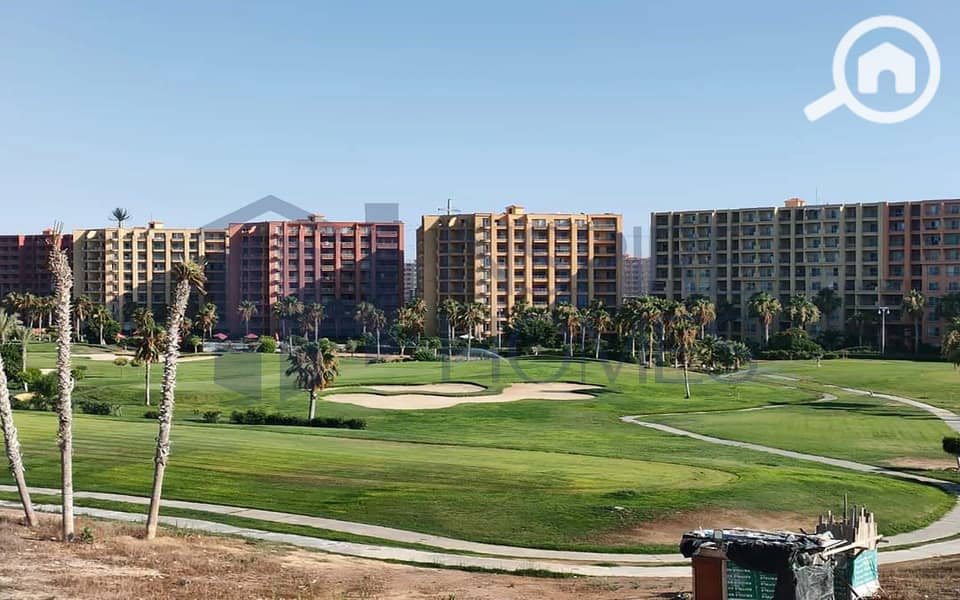 11 20250811-IMG-20231126-WA0017. JPG