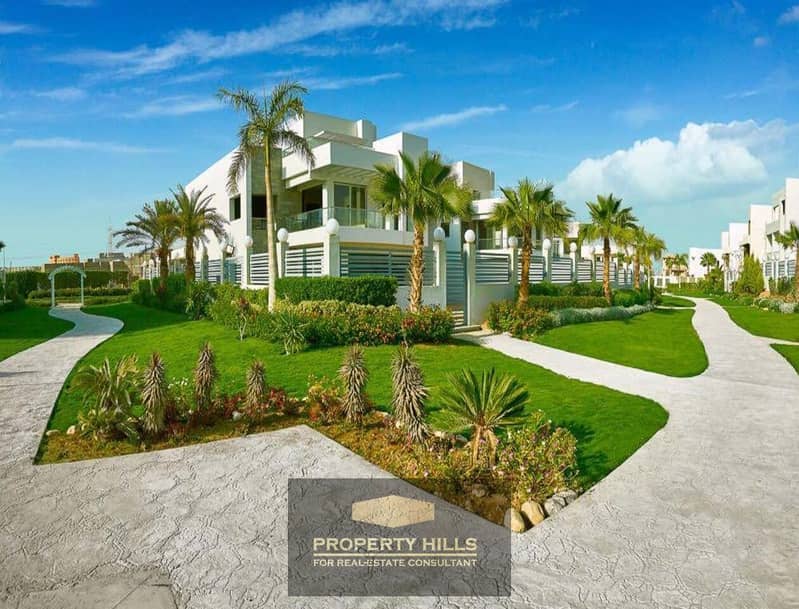 4 8b18d417-1156-44f4-8f2b-635aa92ac1e6. jpg