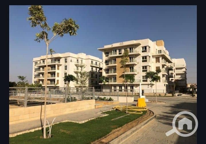 11 IMG-20251203-WA0010. jpg