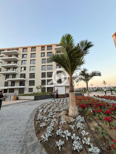 فلیٹ 2 غرفة نوم للبيع في العامرية، الإسكندرية - WhatsApp Image 2025-12-03 at 2.38. 50 PM. jpeg