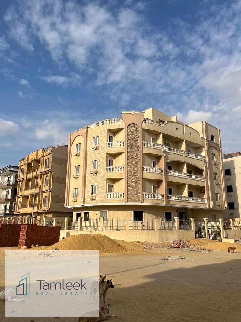 6 69930e41-0087-4f16-bb54-7f270dda95fb. jpeg