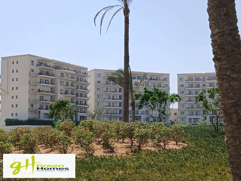 6 WhatsApp Image 2025-10-27 at 13.14. 43 (2). jpeg