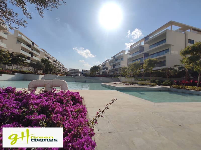 5 WhatsApp Image 2025-12-11 at 16.59. 14_b078cb8f. jpg