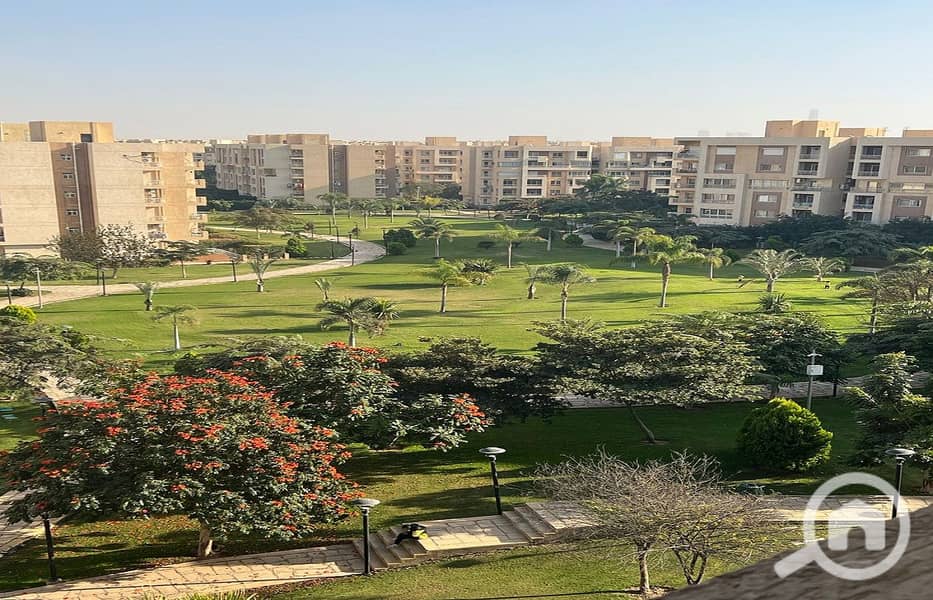 3 08211ddd-7e26-42ca-a091-ddf17a1f1420. jpg