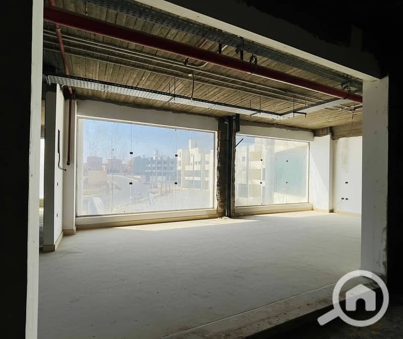 8 Generated Image September 16, 2025 - 2_08PM. png