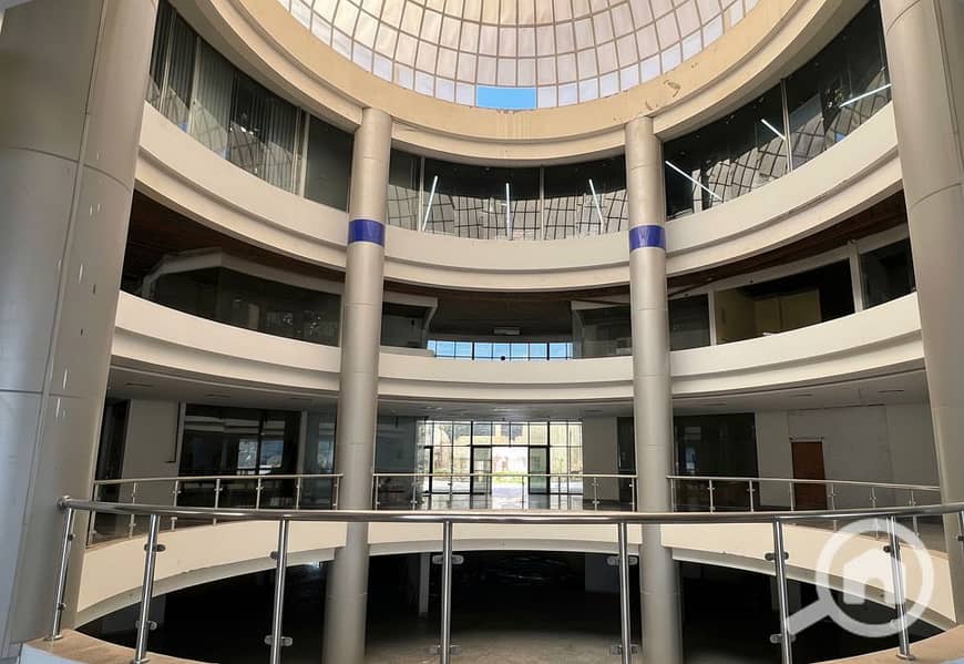 8 Generated Image September 23, 2025 - 2_06PM. png