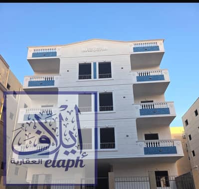 3 Bedroom Apartment for Sale in New Cairo, Cairo - WhatsApp Image 2025-12-24 at 12.59. 48 PM. jpeg