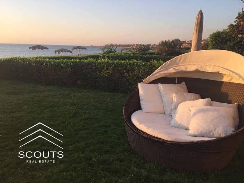 12 441077008_899600448846106_7177877865807090198_n. jpg