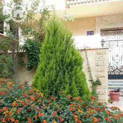 4 Bedroom Apartment for Rent in New Cairo, Cairo - 1000164514. jpg