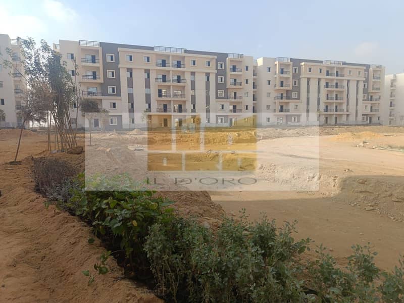 8 WhatsApp Image 2025-12-22 at 12.29. 42 PM (1). jpeg