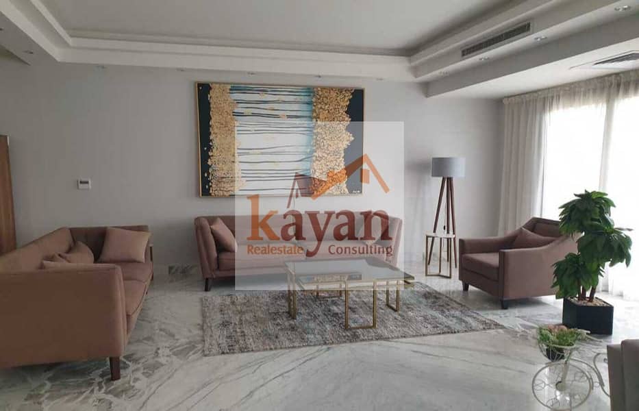 6 1c11851c-1306-4c87-95c2-65a30ed82700. jpg