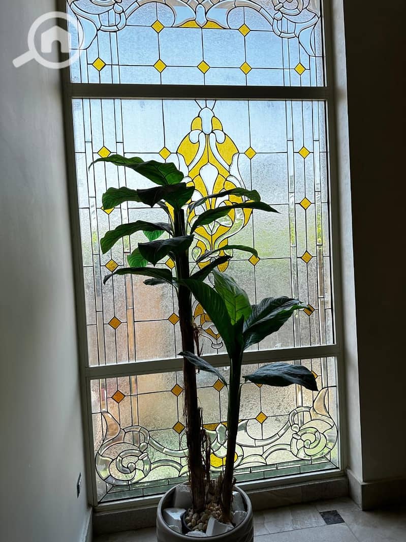 32 WhatsApp Image 2025-12-17 at 19.55. 47. jpeg