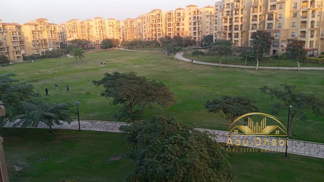 3 3d0dfe70-70b6-4e0a-bed9-283e77a7db8b. jpg