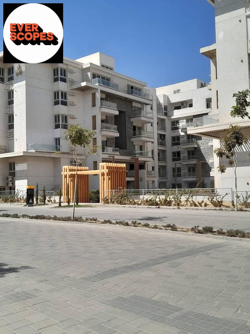 6 591999979_24815569411459671_5080708864009340197_n. jpg