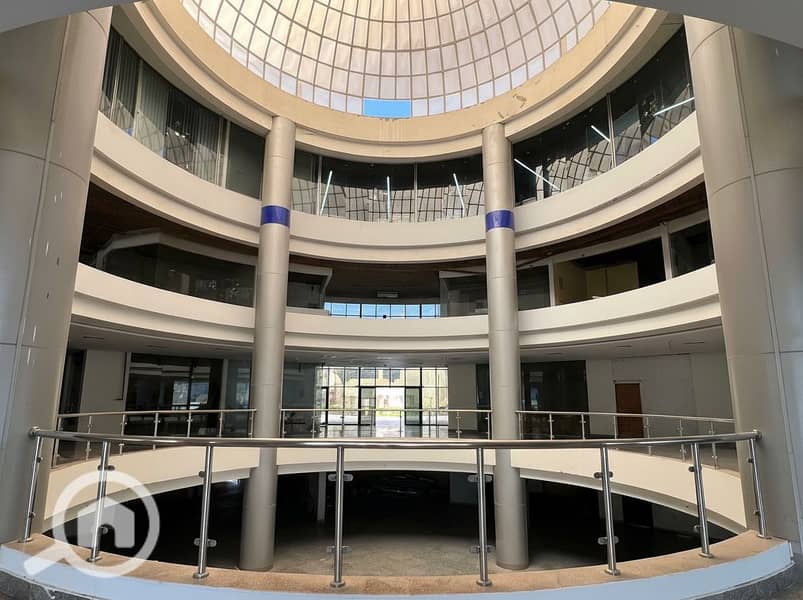 8 Generated Image September 23, 2025 - 2_06PM. png