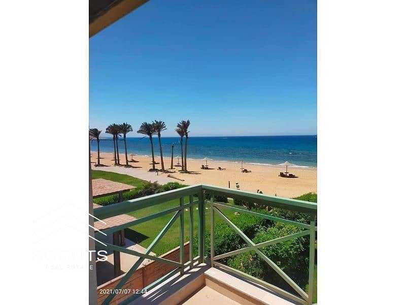 7 467326881_8658685560915673_3084886302304051588_n. jpg