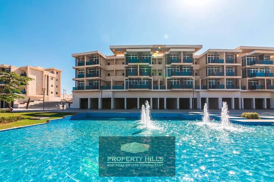 18 PHOTO-2025-12-21-15-19-51 6. jpg