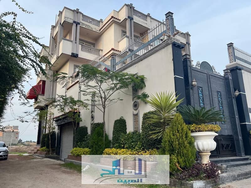 8 IMG-20250326-WA0041. jpg