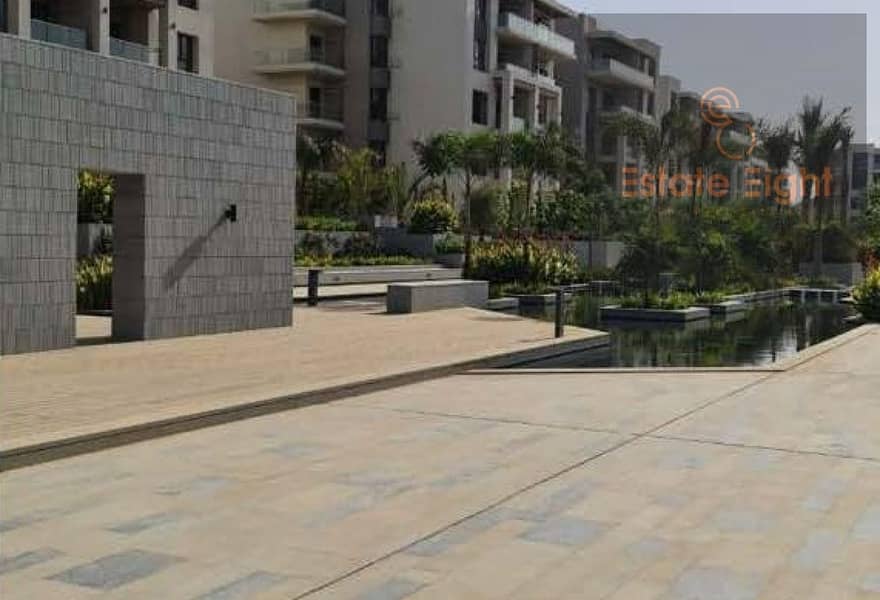 6 7799523-d7f97o. jpg