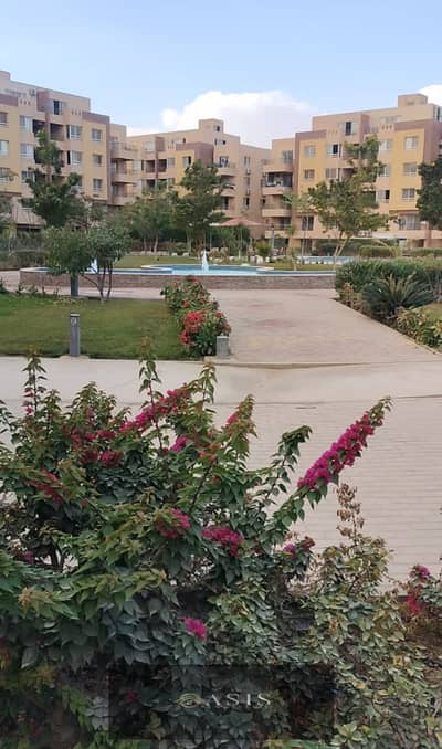 دوبلكس 5 غرف نوم للبيع في 6 أكتوبر، الجيزة - promned7. jpeg