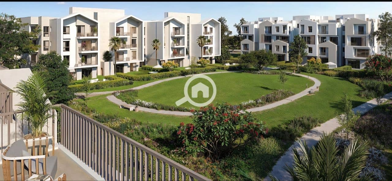 6 photo_3_2025-12-24_12-39-38. jpg