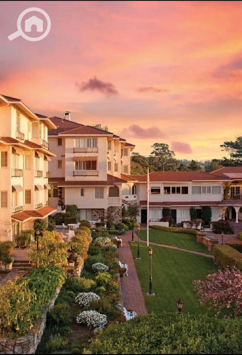 13 photo_20_2025-12-24_12-39-38. jpg