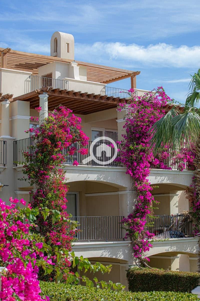 2 449705440_451623191168602_3427846290540565941_n. jpg