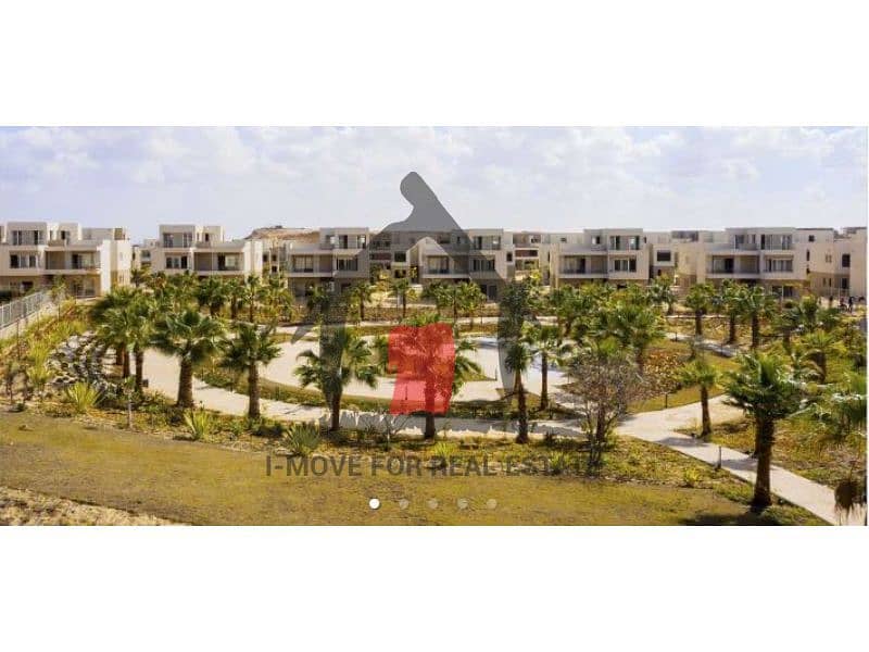 4 44474512-c472-4ad1-b3b4-3c0f07478343. jpg