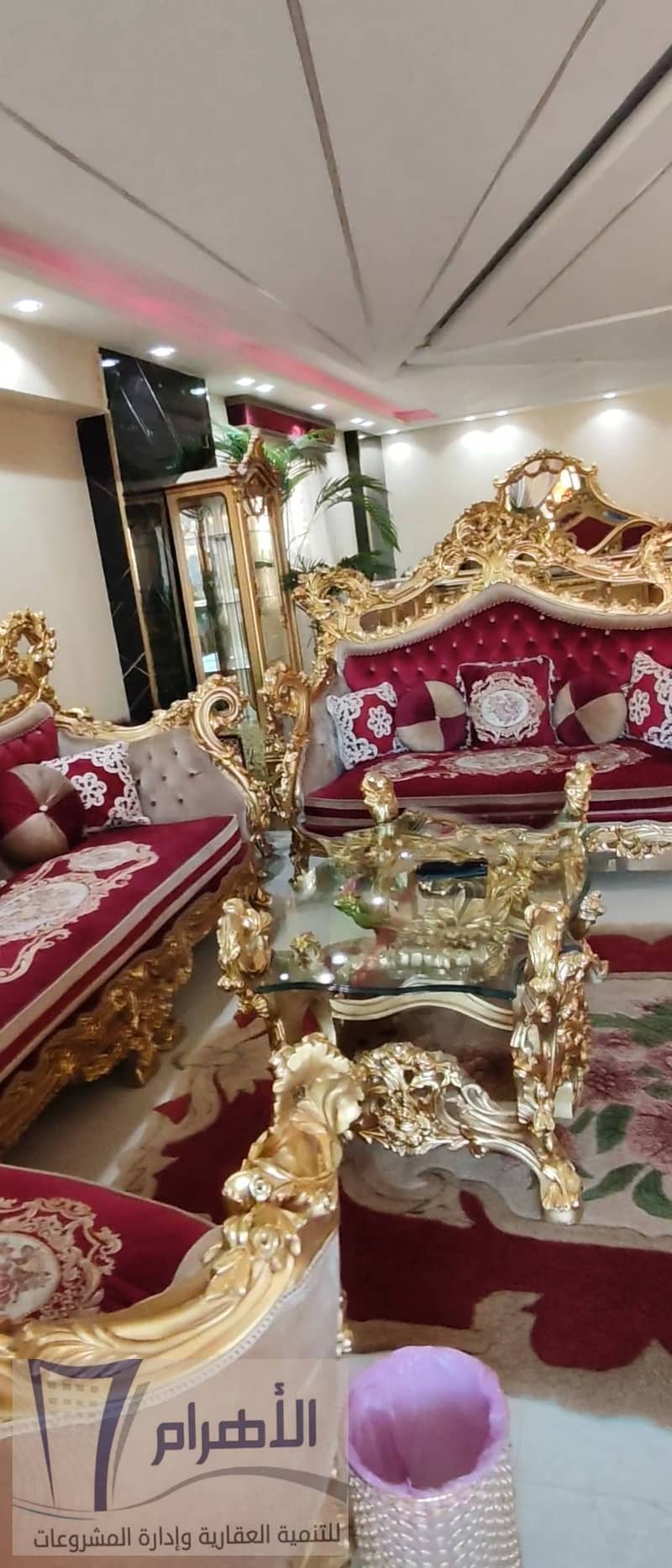 7 600882083_1171691655109034_1496234838709669944_n. jpg