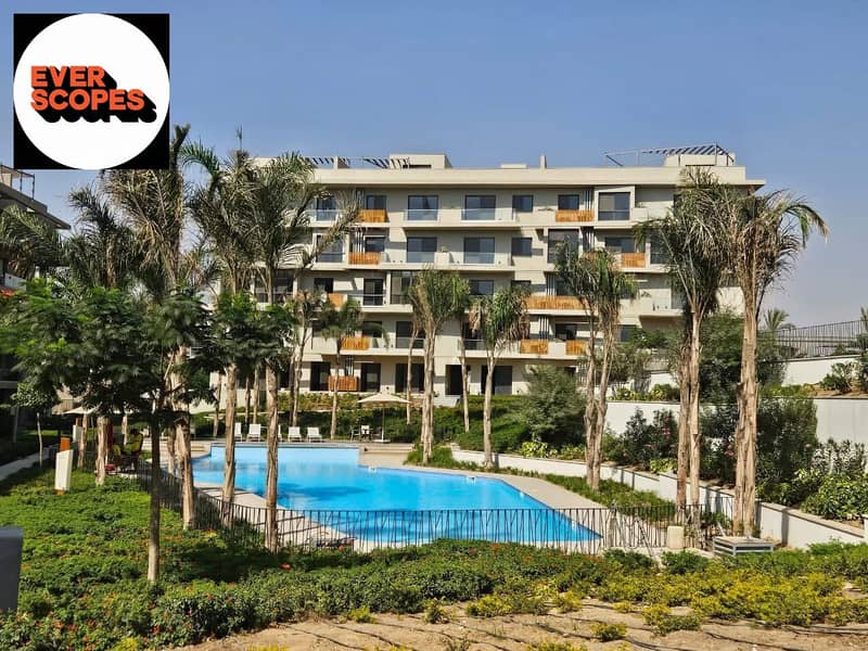 4 596636878_4065157223795711_5701314065557510520_n. jpg