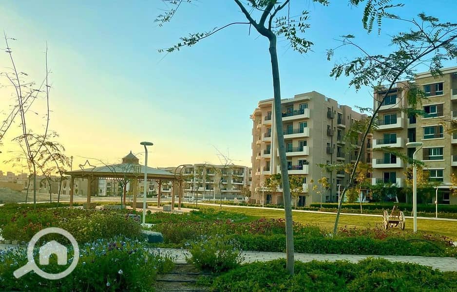 9 359468456_6618608274842698_815119498623619689_n - Copy - Copy - Copy. jpg