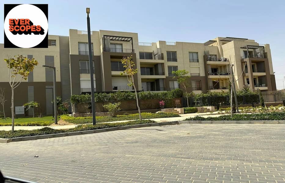 3 446716218_10229742704527708_2096286492037913644_n. jpg