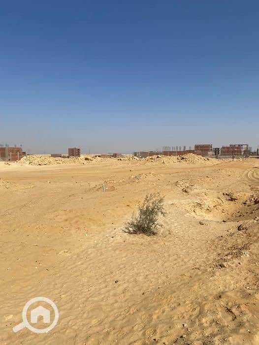 4 WhatsApp Image 2025-10-27 at 5.25. 01 PM. jpeg