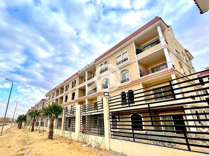 11 IMG-20250129-WA0329. jpg