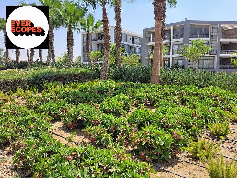 2 416062878_398677265911997_516741798896398585_n. jpg