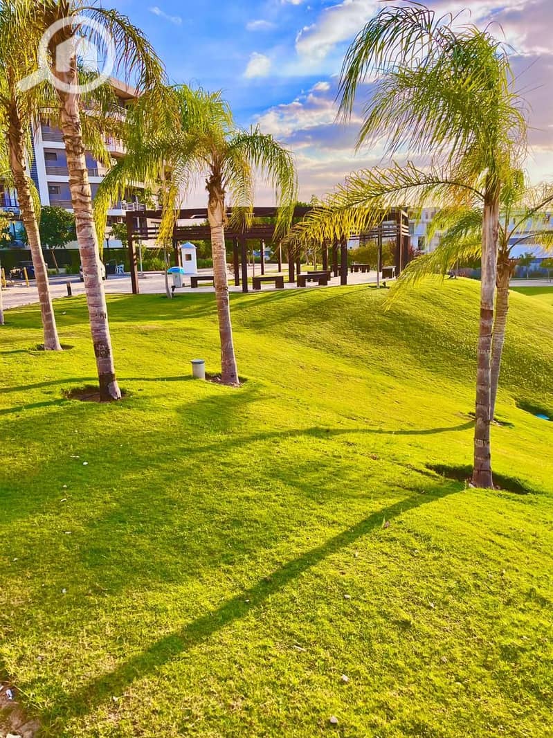 2 WhatsApp Image 2025-12-23 at 18.40. 49. jpeg